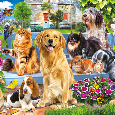 Darstellung des Puzzle Motivs Pets 100 Puzzle 3D Modell