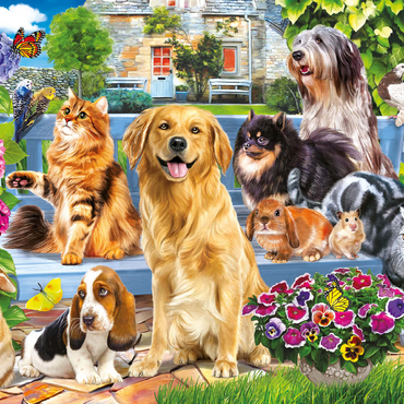 Darstellung des Puzzle Motivs Pets 500 Puzzle 3D Modell