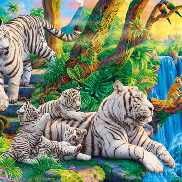 Darstellung des Puzzle Motivs Family of White Tiger 500 Puzzle 3D Modell