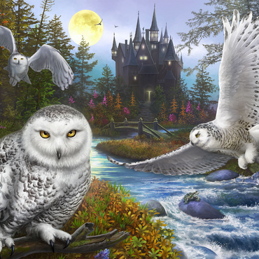 Darstellung des Puzzle Motivs Snowy Owls 1000 Puzzle 3D Modell