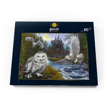 Darstellung des Puzzle Motivs Snowy Owls 100 Puzzle Schachtel Ansicht3