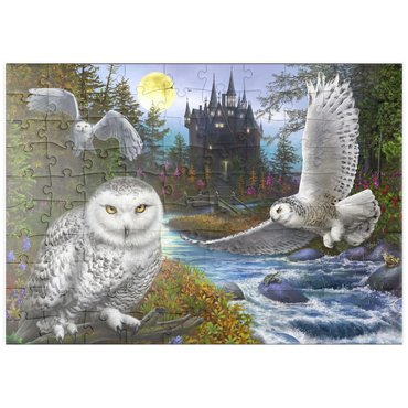 Darstellung des Puzzle Motivs puzzleplate Snowy Owls 100 Puzzle