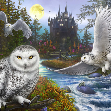 Darstellung des Puzzle Motivs Snowy Owls 100 Puzzle 3D Modell