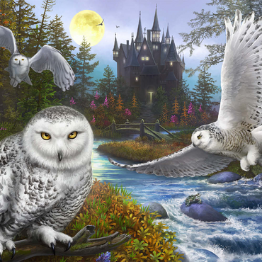 Darstellung des Puzzle Motivs Snowy Owls 500 Puzzle 3D Modell