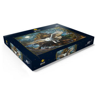 Darstellung des Puzzle Motivs Magic Owl and Castle 100 Puzzle Schachtel Ansicht1