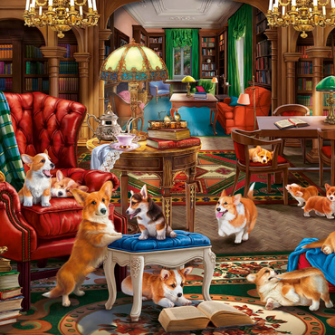 Darstellung des Puzzle Motivs Corgi in the Library 500 Puzzle 3D Modell