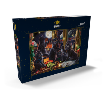 Darstellung des Puzzle Motivs Black Kittens & Fireflies 1000 Puzzle Schachtel Ansicht2