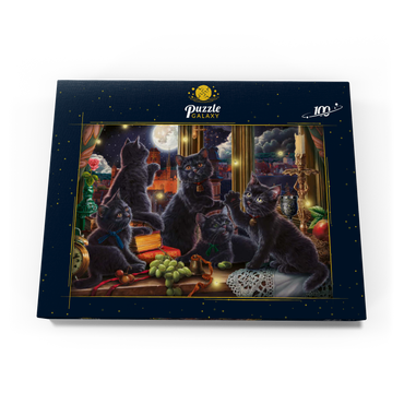 Darstellung des Puzzle Motivs Black Kittens & Fireflies 100 Puzzle Schachtel Ansicht3