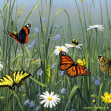 Darstellung des Puzzle Motivs Wildflowers & Butterflies 1000 Puzzle 3D Modell