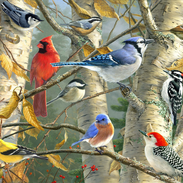 Darstellung des Puzzle Motivs Fall Birds 1000 Puzzle 3D Modell