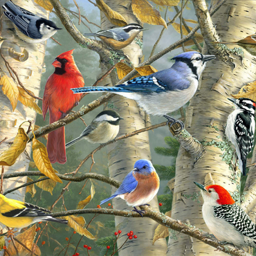 Darstellung des Puzzle Motivs Fall Birds 100 Puzzle 3D Modell