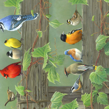 Darstellung des Puzzle Motivs Farbenfrohe Vogelschar 1000 Puzzle 3D Modell