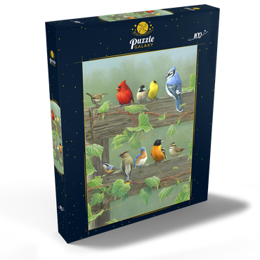 Darstellung des Puzzle Motivs Farbenfrohe Vogelschar 100 Puzzle Schachtel Ansicht2