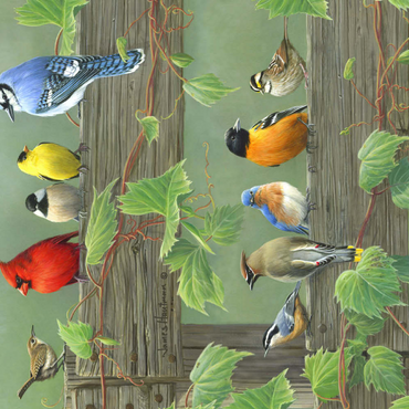 Darstellung des Puzzle Motivs Farbenfrohe Vogelschar 200 Puzzle 3D Modell