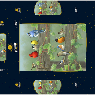 Darstellung des Puzzle Motivs Farbenfrohe Vogelschar 200 Puzzle Schachtel 3D Modell