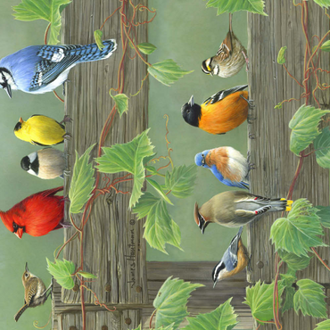 Darstellung des Puzzle Motivs Farbenfrohe Vogelschar 500 Puzzle 3D Modell