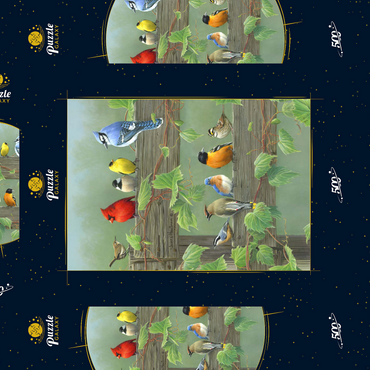 Darstellung des Puzzle Motivs Farbenfrohe Vogelschar 500 Puzzle Schachtel 3D Modell