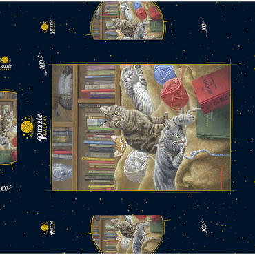 Darstellung des Puzzle Motivs Verspielte Katzen in der Bibliothek 100 Puzzle Schachtel 3D Modell