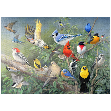 Darstellung des Puzzle Motivs puzzleplate Birds 1000 Puzzle
