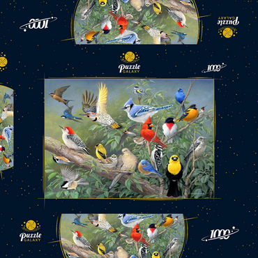 Darstellung des Puzzle Motivs Birds 1000 Puzzle Schachtel 3D Modell