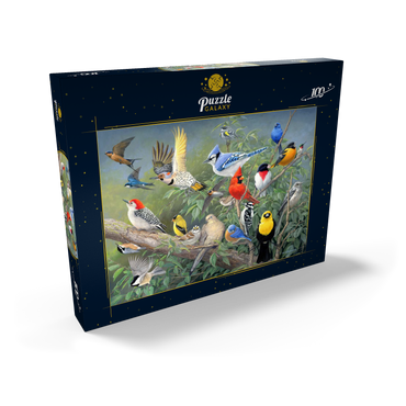 Darstellung des Puzzle Motivs Birds 100 Puzzle Schachtel Ansicht2