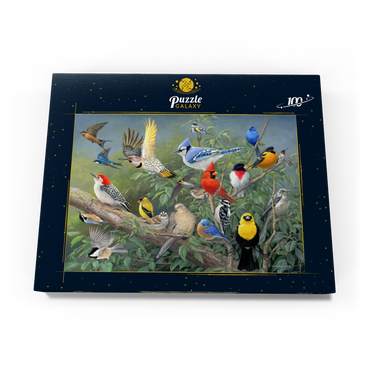 Darstellung des Puzzle Motivs Birds 100 Puzzle Schachtel Ansicht3