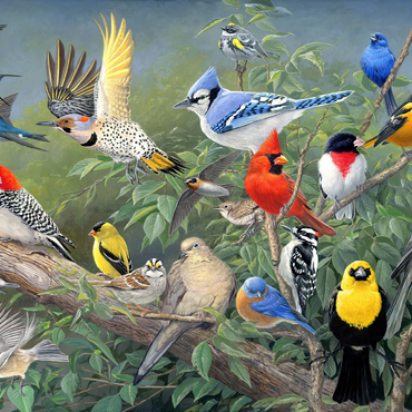 Darstellung des Puzzle Motivs Birds 100 Puzzle 3D Modell