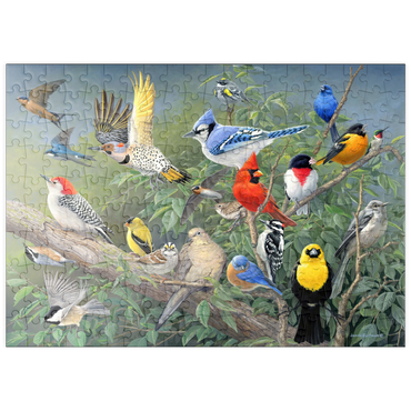 Darstellung des Puzzle Motivs puzzleplate Birds 200 Puzzle
