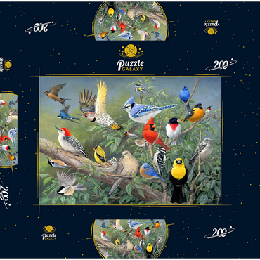 Darstellung des Puzzle Motivs Birds 200 Puzzle Schachtel 3D Modell