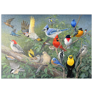 Darstellung des Puzzle Motivs puzzleplate Birds 500 Puzzle