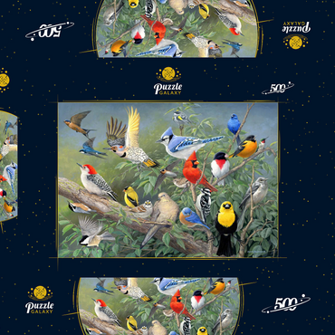 Darstellung des Puzzle Motivs Birds 500 Puzzle Schachtel 3D Modell