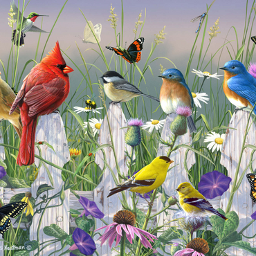 Darstellung des Puzzle Motivs Meadow Menagerie 1000 Puzzle 3D Modell