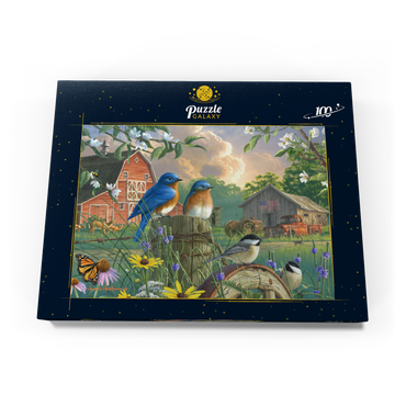 Darstellung des Puzzle Motivs America's Heartland 100 Puzzle Schachtel Ansicht3