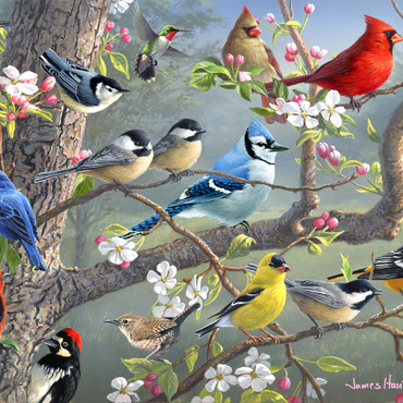 Darstellung des Puzzle Motivs Orchard Puzzle 200 Puzzle 3D Modell