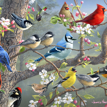 Darstellung des Puzzle Motivs Orchard Puzzle 500 Puzzle 3D Modell