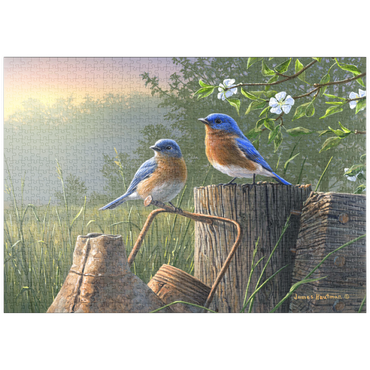 Darstellung des Puzzle Motivs puzzleplate Daybreak Bluebirds 1000 Puzzle