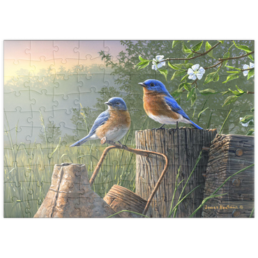 Darstellung des Puzzle Motivs puzzleplate Daybreak Bluebirds 100 Puzzle