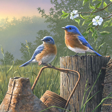Darstellung des Puzzle Motivs Daybreak Bluebirds 100 Puzzle 3D Modell