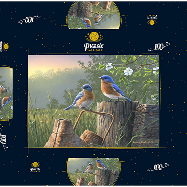 Darstellung des Puzzle Motivs Daybreak Bluebirds 100 Puzzle Schachtel 3D Modell