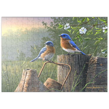Darstellung des Puzzle Motivs puzzleplate Daybreak Bluebirds 200 Puzzle