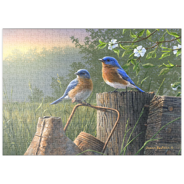 Darstellung des Puzzle Motivs puzzleplate Daybreak Bluebirds 500 Puzzle