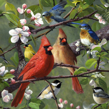 Darstellung des Puzzle Motivs Songbirds 1000 Puzzle 3D Modell