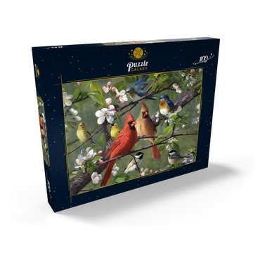 Darstellung des Puzzle Motivs Songbirds 100 Puzzle Schachtel Ansicht2
