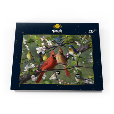 Darstellung des Puzzle Motivs Songbirds 100 Puzzle Schachtel Ansicht3