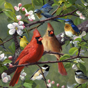 Darstellung des Puzzle Motivs Songbirds 100 Puzzle 3D Modell