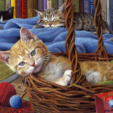 Darstellung des Puzzle Motivs Billy The Kit 1000 Puzzle 3D Modell