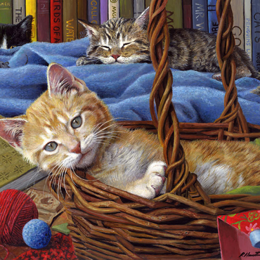 Darstellung des Puzzle Motivs Billy The Kit 500 Puzzle 3D Modell