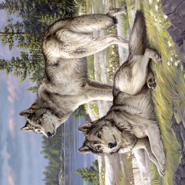 Darstellung des Puzzle Motivs Wolfsruhe am Seeufer 1000 Puzzle 3D Modell
