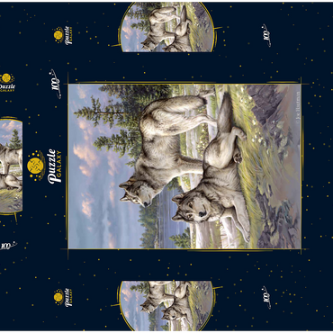 Darstellung des Puzzle Motivs Wolfsruhe am Seeufer 100 Puzzle Schachtel 3D Modell