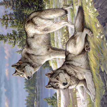 Darstellung des Puzzle Motivs Wolfsruhe am Seeufer 200 Puzzle 3D Modell